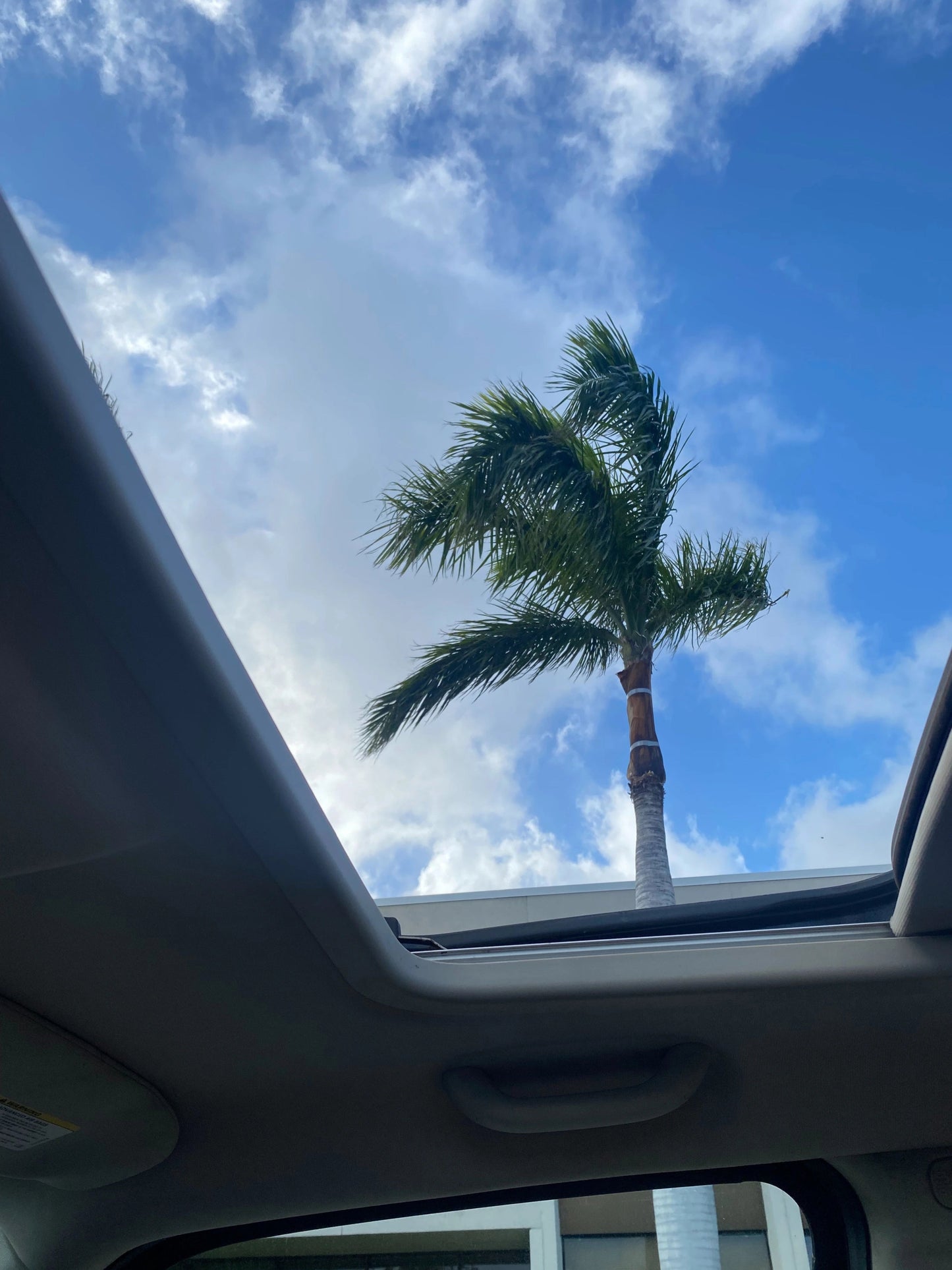 Paysage ensoleillé de Hawaï